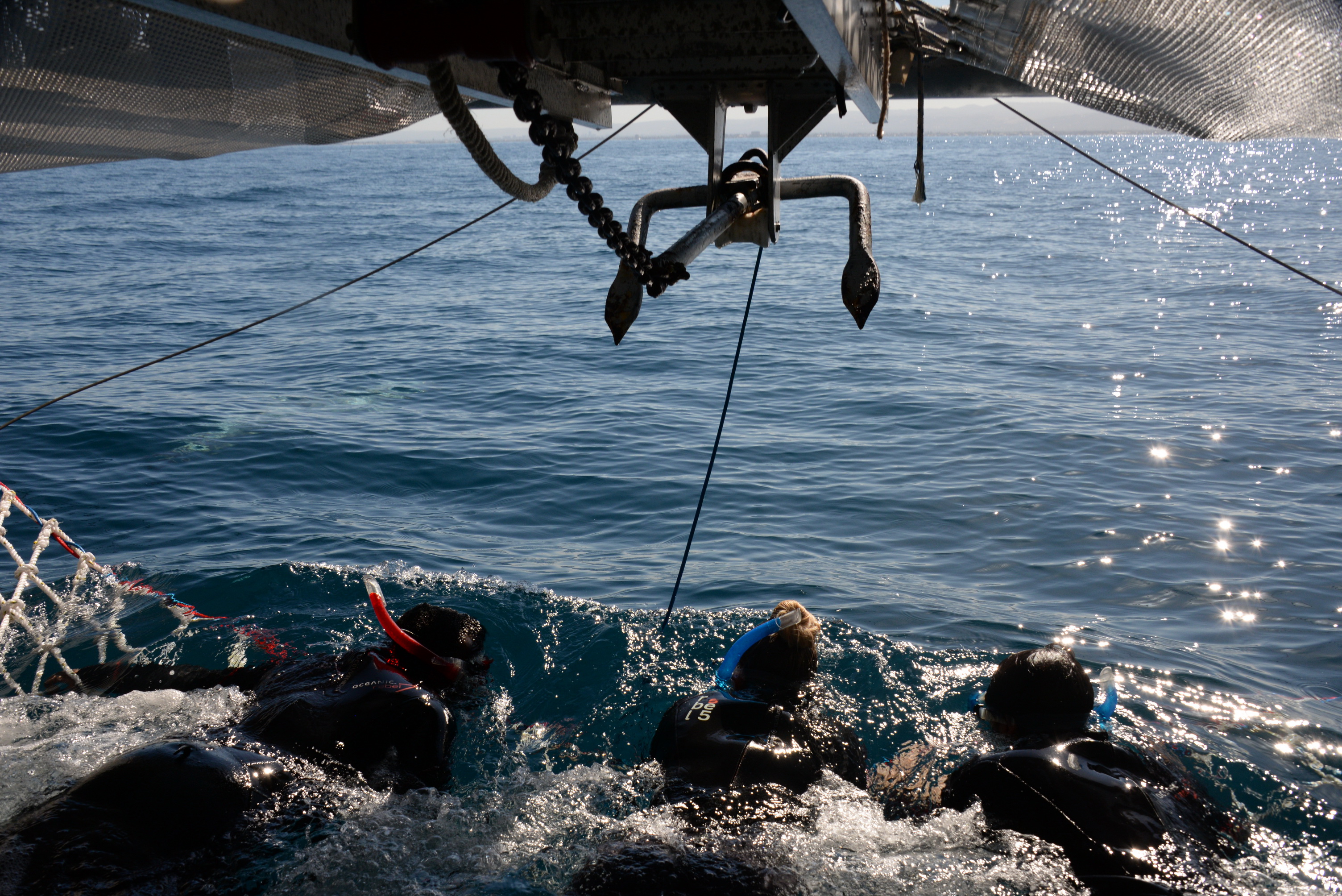 2019 12 07 09 14 15 NIKON D610 0017